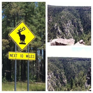 Heading to Flagstaff