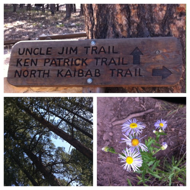 Uncle Jim Trail